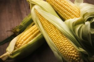 как сделать самогон из кукурузы своими руками